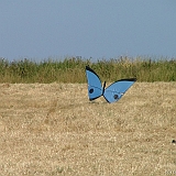 Penvins-festival -2006 -0261